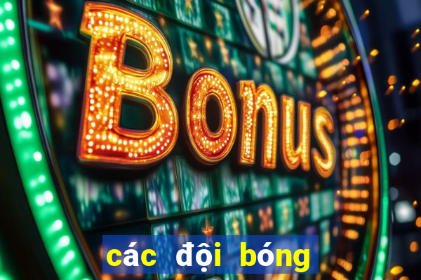 các đội bóng vô địch châu âu