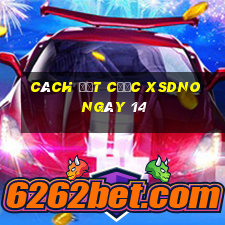 Cách đặt cược XSDNO ngày 14