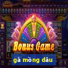 gà mồng dâu