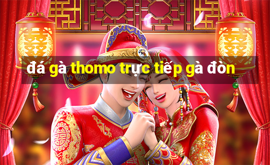 đá gà thomo trực tiếp gà đòn