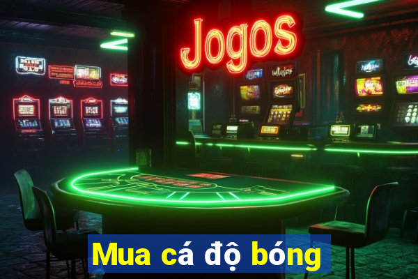 Mua cá độ bóng