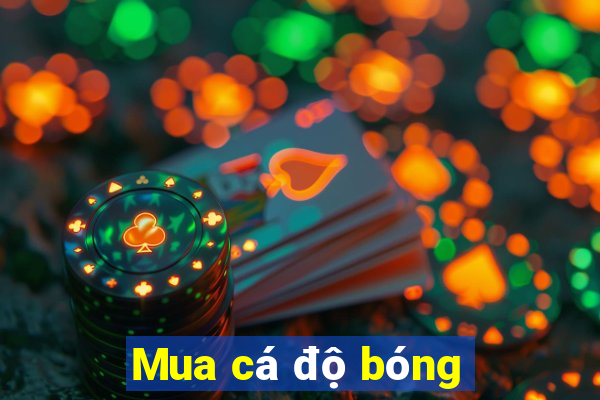 Mua cá độ bóng