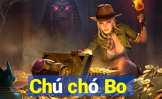 Chú chó Bo