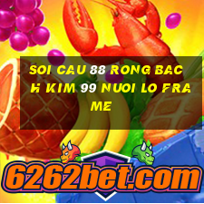 soi cau 88 rong bach kim 99 nuoi lo frame