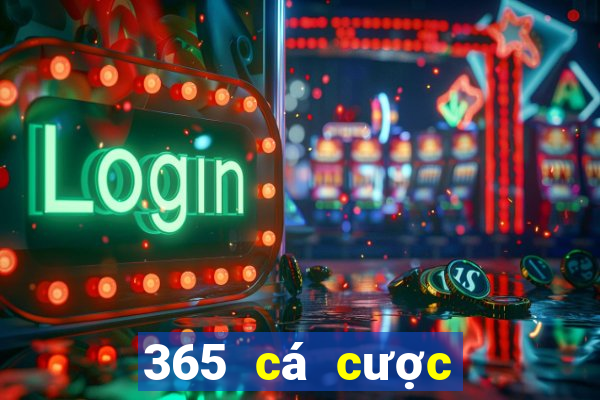 365 cá cược bóng đá