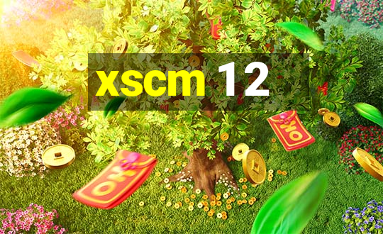 xscm 1 2