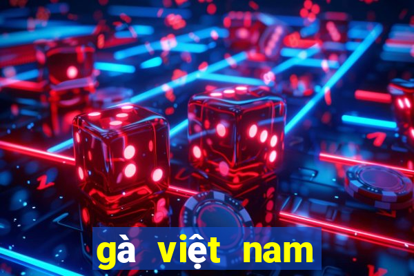 gà việt nam đá với gà thái lan