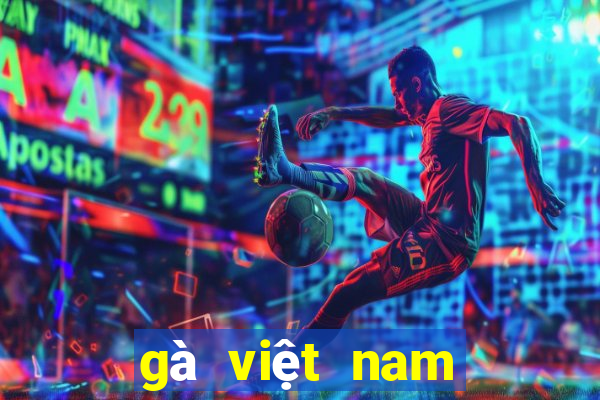 gà việt nam đá với gà thái lan