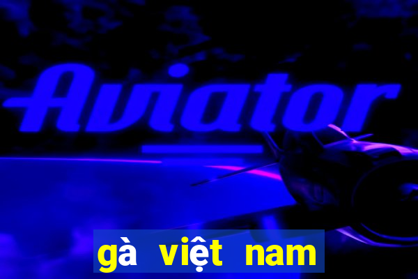 gà việt nam đá với gà thái lan