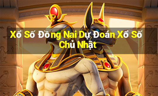 Xổ Số Đồng Nai Dự Đoán Xổ Số Chủ Nhật