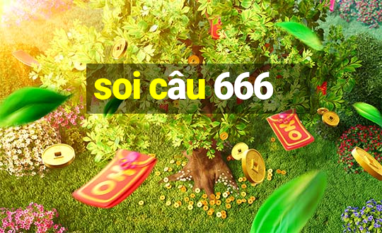 soi câu 666