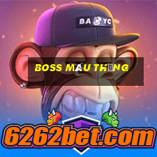 boss màu thẳng