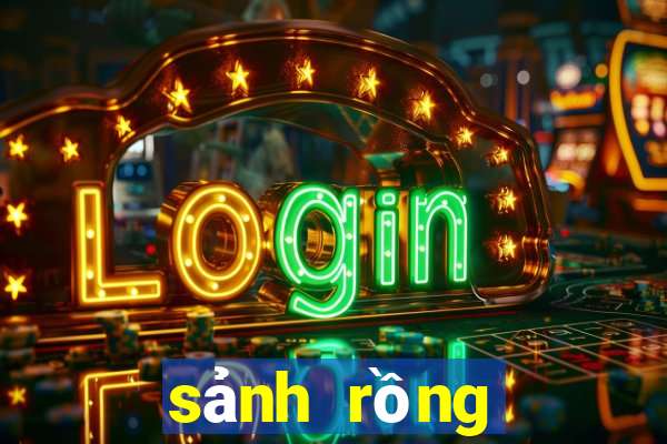 sảnh rồng tiến lên miền nam