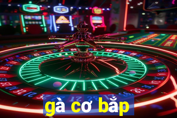 gà cơ bắp