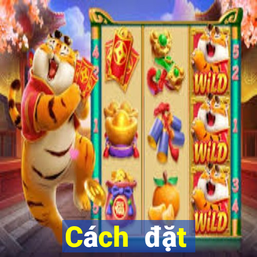 Cách đặt cược XSDNO Thứ 3