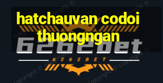 hatchauvan codoithuongngan