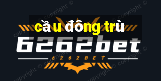 cầu đông trù