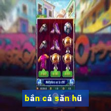 bắn cá săn hũ