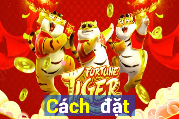 Cách đặt cược XSTTH ngày 6