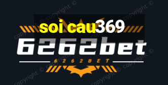 soi cau369