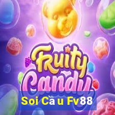 Soi Cầu Fv88