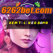 xem tỷ lệ kèo bóng