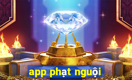 app phạt nguội