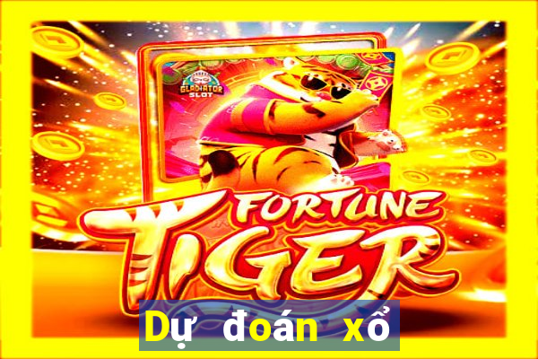 Dự đoán xổ số bóng đá NetEase