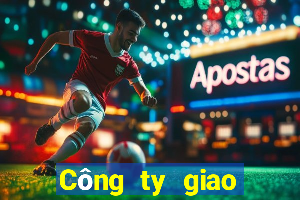 Công ty giao diện bbin