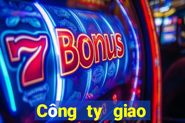 Công ty giao diện bbin