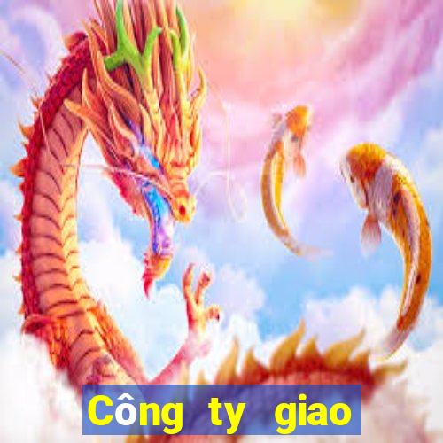 Công ty giao diện bbin