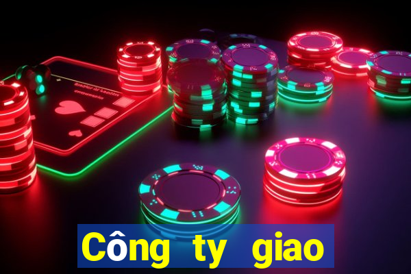 Công ty giao diện bbin