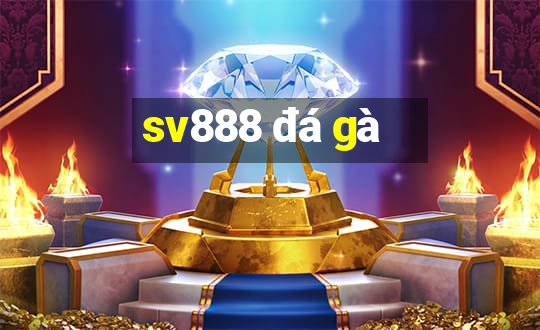 sv888 đá gà