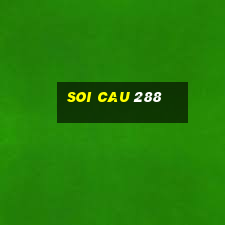 soi cau 288