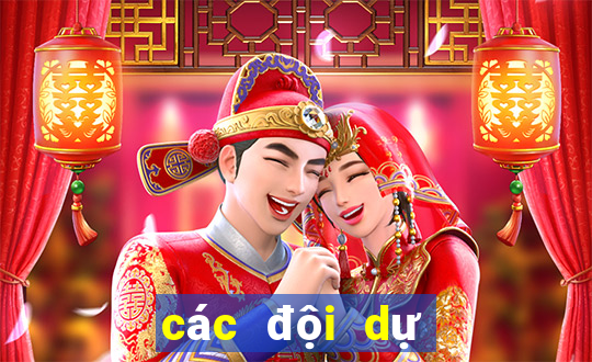 các đội dự cúp châu âu ngoại hạng anh