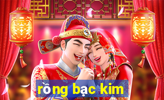 rong bac kim