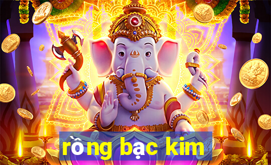 rong bac kim