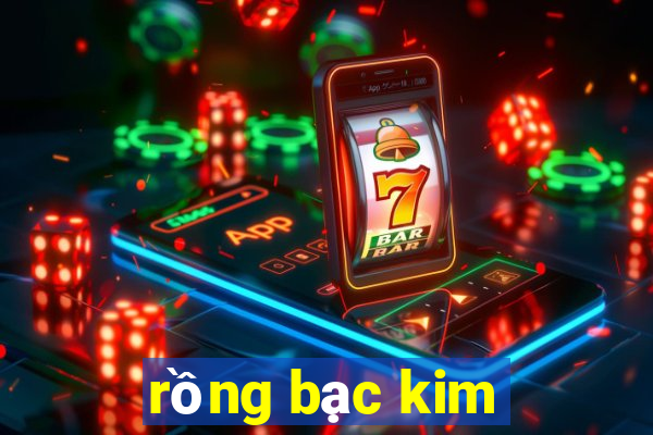 rong bac kim