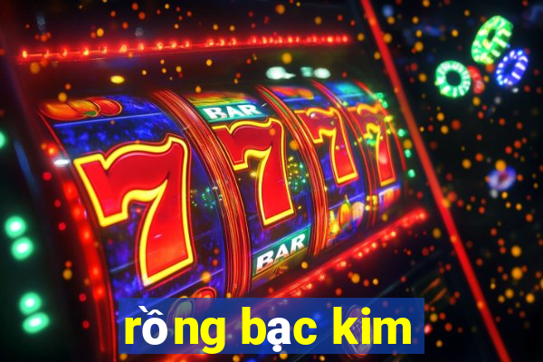 rong bac kim