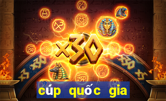 cúp quốc gia đan mạch hôm nay