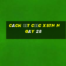 Cách đặt cược XSTN ngày 28