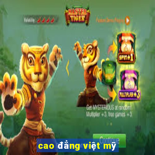 cao đẳng việt mỹ