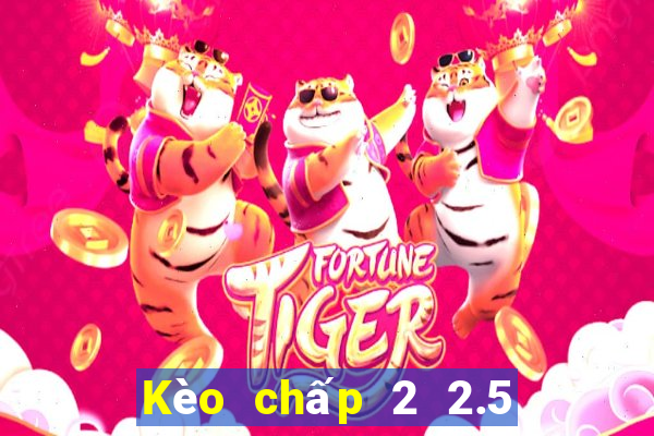 Kèo chấp 2 2.5 la gì