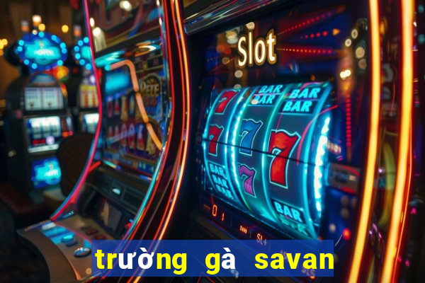 trường gà savan trực tiếp hôm nay