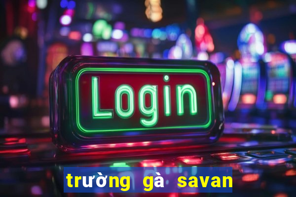 trường gà savan trực tiếp hôm nay