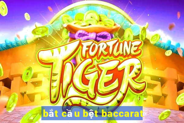 bắt cầu bệt baccarat