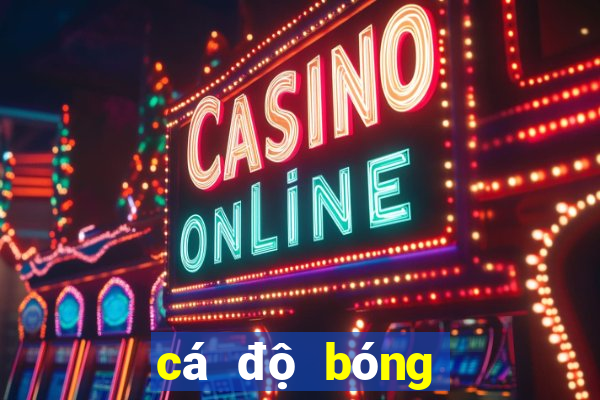 cá độ bóng đá app