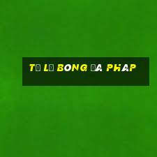 tỷ lệ bóng đá pháp