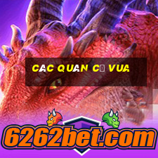 các quân cờ vua