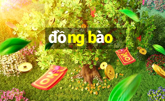 đồng bào